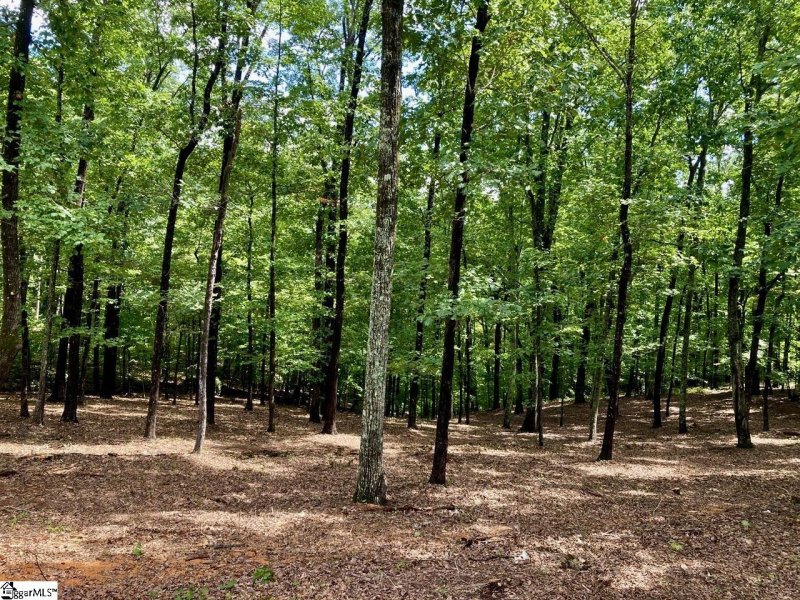 Property image 5 at 141 Cherokee Rose Trail, Marietta, SC 29661