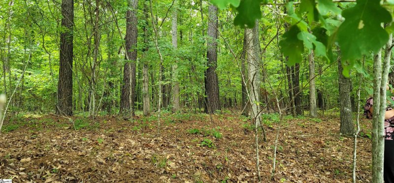 Property image 3 at 80 E Commodore Drive, Cross Hill, SC 28332