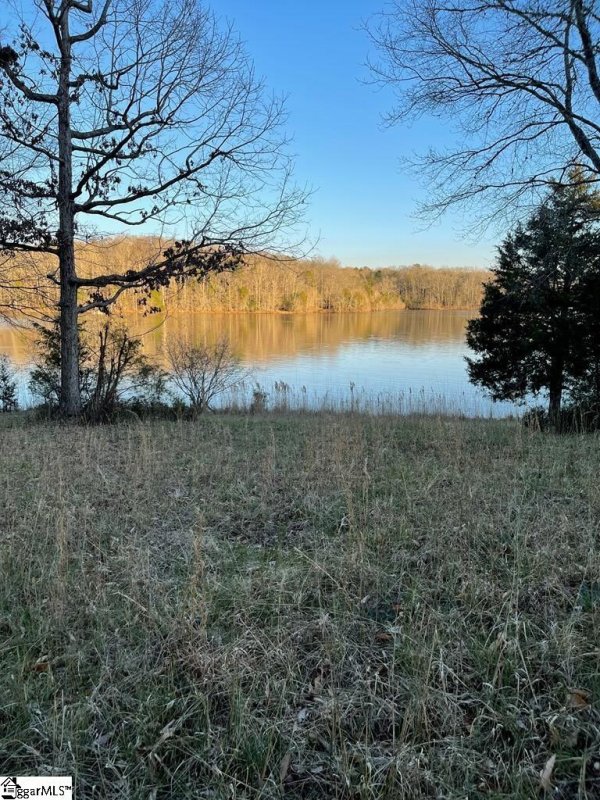 Property image 5 at 0 E Peninsula Drive, Laurens, SC 29630