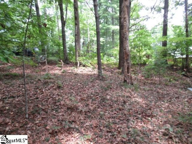 Property image 2 at 425 Whispering Falls Drive, Pickens, SC 29671