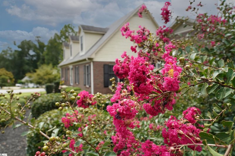 Property image 5 at 601 Regency Circle, Anderson, SC 29625