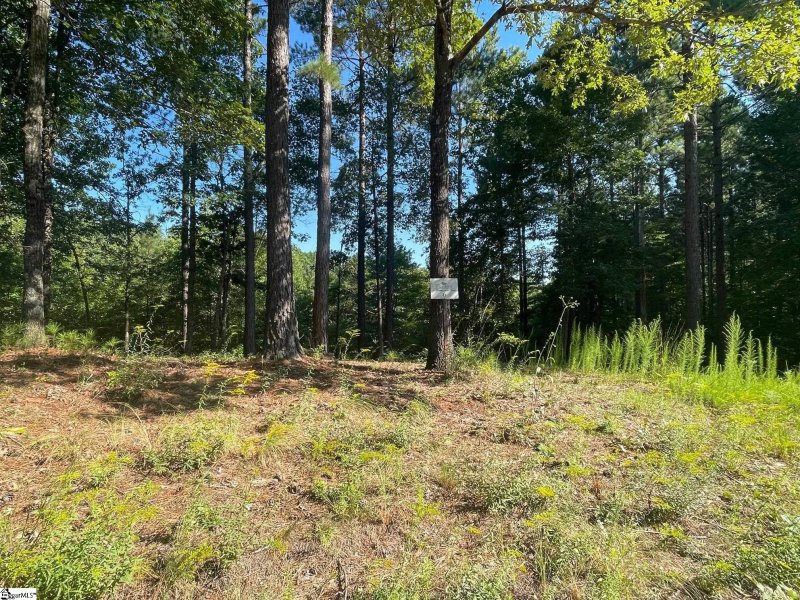 Property image 2 at 629 Pine Harbor Way, Salem, SC 29676