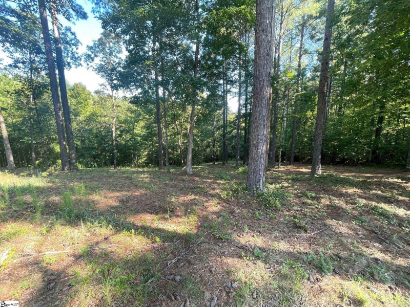 Property image 3 at 629 Pine Harbor Way, Salem, SC 29676