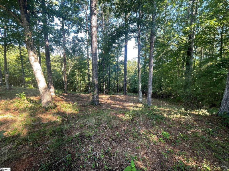 Property image 4 at 629 Pine Harbor Way, Salem, SC 29676