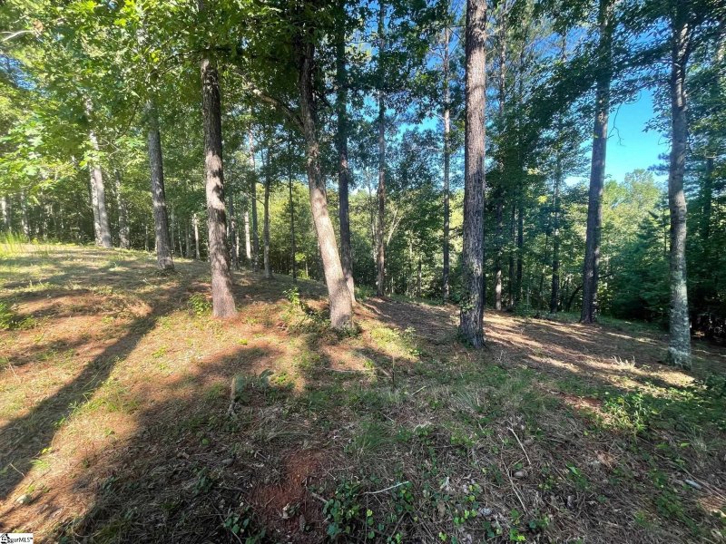 Property image 5 at 629 Pine Harbor Way, Salem, SC 29676