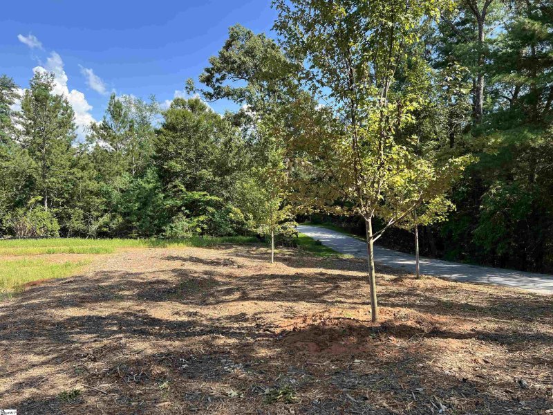 Property image 2 at 101 Pixie Moss Way, Sunset, SC 29685