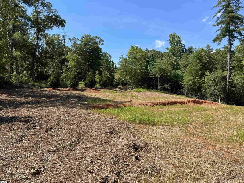 Property image 3 at 101 Pixie Moss Way, Sunset, SC 29685