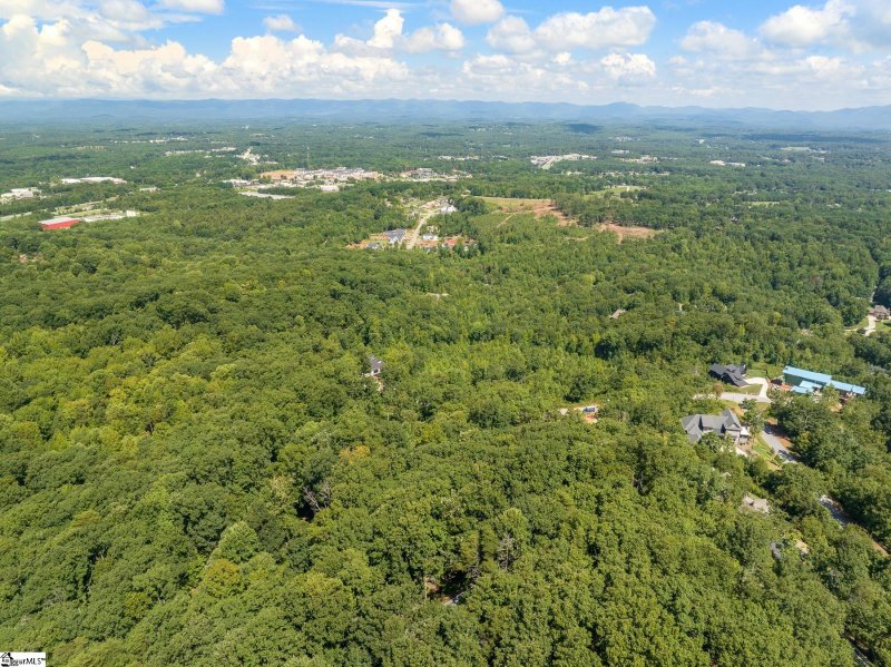 Property image 5 at 00 Altamont Road, Greenville, SC 29609