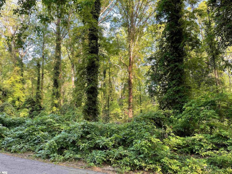 Property image 3 at 128 Fernwood Lane, Greenville, SC 29607