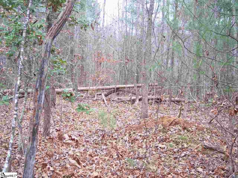 Property image 2 at 159 Broken Bow Run, Pickens, SC 29671