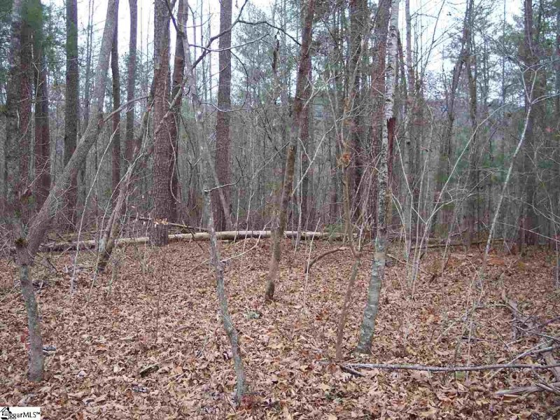 Property image 3 at 159 Broken Bow Run, Pickens, SC 29671