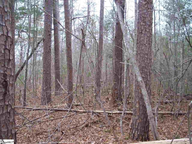 Property image 4 at 159 Broken Bow Run, Pickens, SC 29671