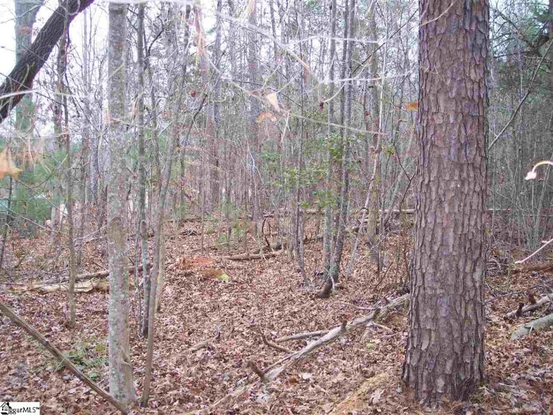 Property image 5 at 159 Broken Bow Run, Pickens, SC 29671