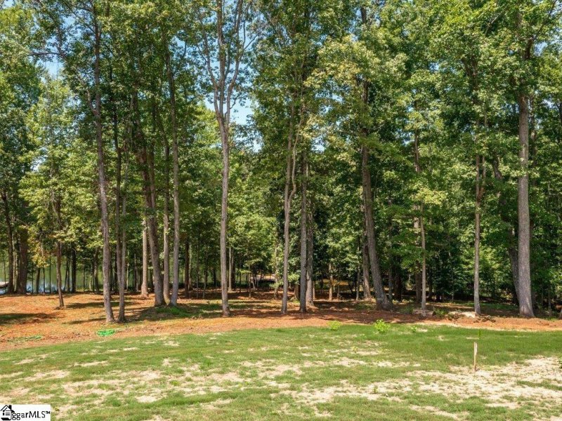 Property image 4 at 190 Rushing Waters Drive, Inman, SC 29349