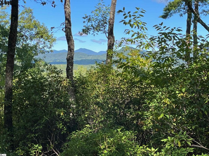 Property image 3 at 156 Eastatoe Parkway, Sunset, SC 29685