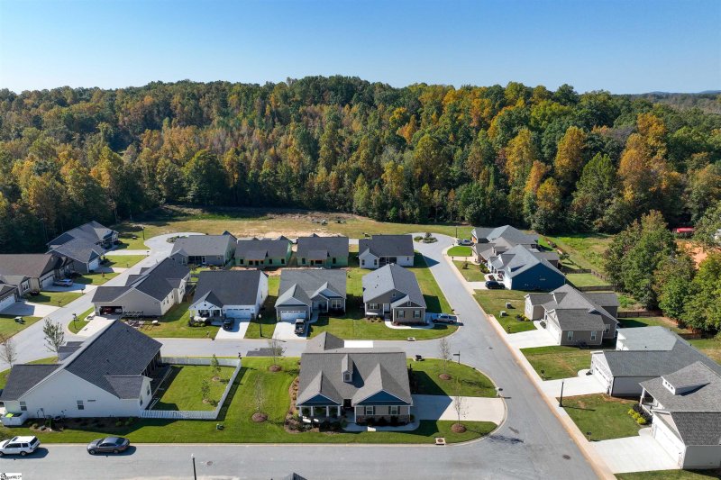 Property image 4 at 710 Landrum Trail, Landrum, SC 29356