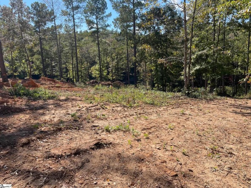 Property image 4 at 516 Old Chapman Bridge Road, Salem, SC 29676
