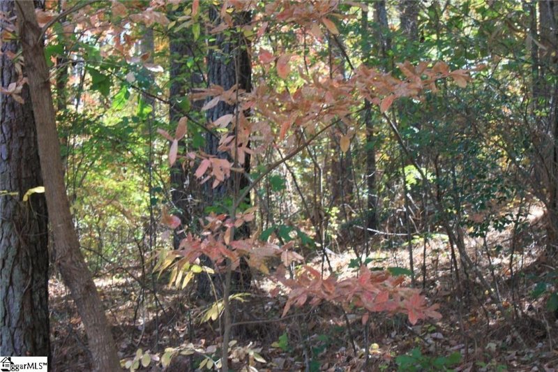 Property image 5 at 00 Inwood Court, Seneca, SC 29672