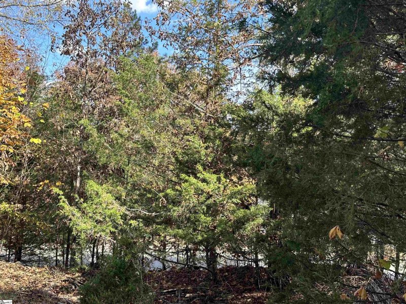 Property image 2 at 137 E Peninsula Drive, Laurens, SC 29360