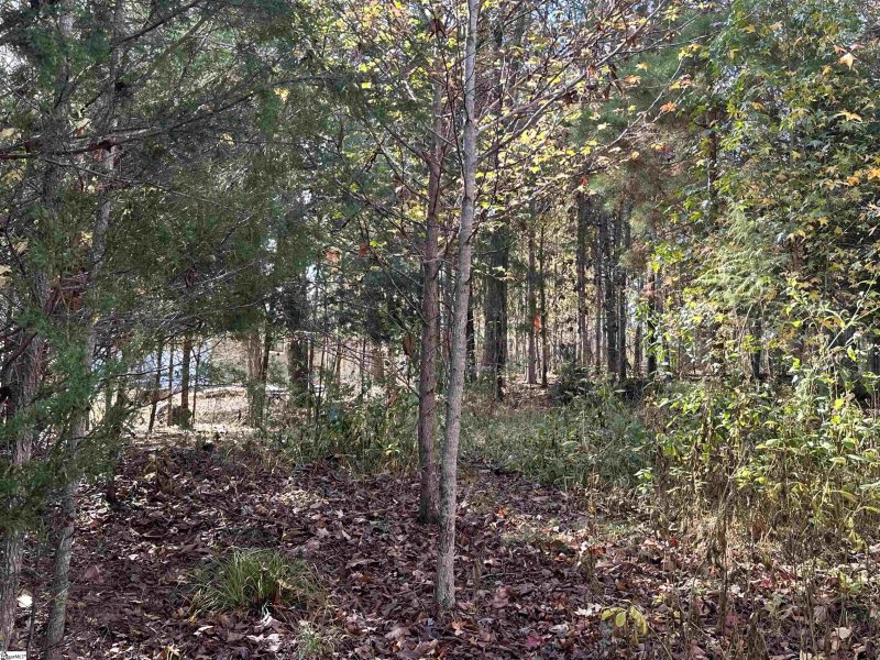 Property image 3 at 137 E Peninsula Drive, Laurens, SC 29360