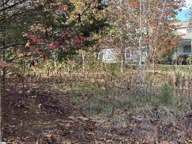 Property image 4 at 137 E Peninsula Drive, Laurens, SC 29360