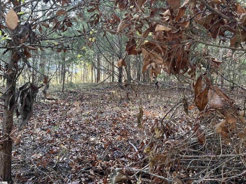 Property image 5 at 137 E Peninsula Drive, Laurens, SC 29360