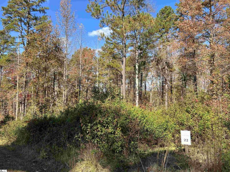 Property image 4 at 00 Aqua View Drive, Seneca, SC 29672