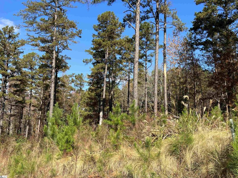 Property image 5 at 00 Aqua View Drive, Seneca, SC 29672