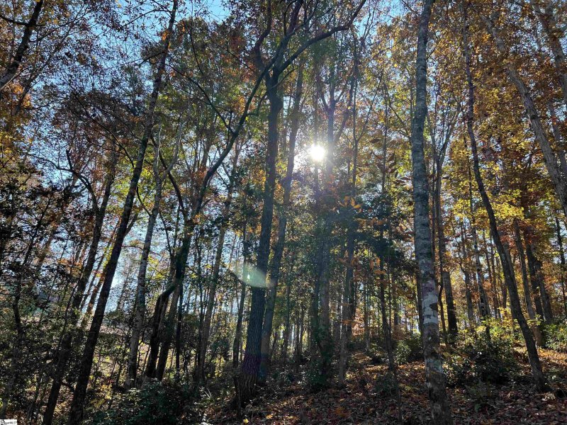 Property image 3 at 84 Rock Edge Drive, Seneca, SC 29672