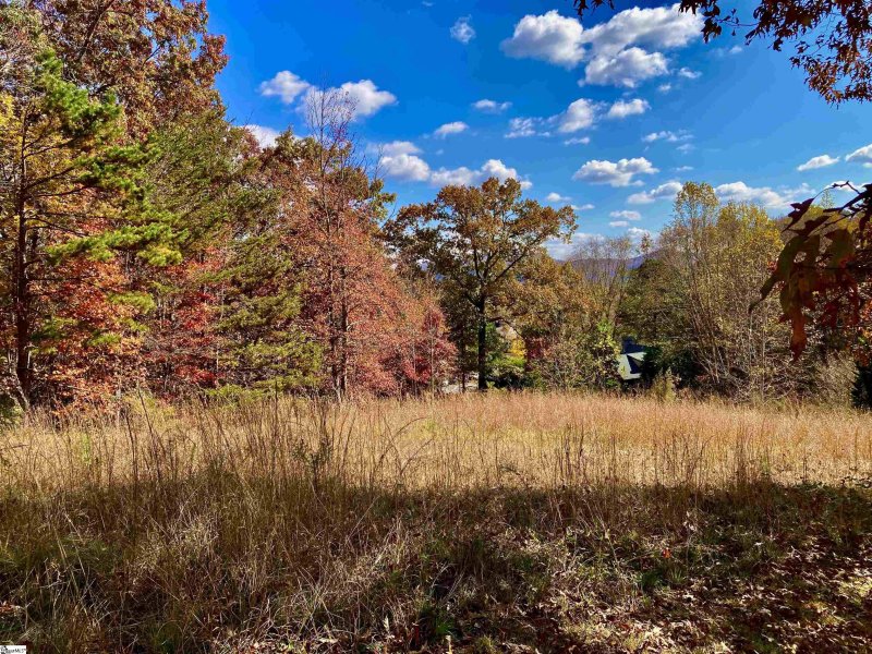 Property image 2 at 6 Sedgewick Road, Travelers Rest, SC 29690