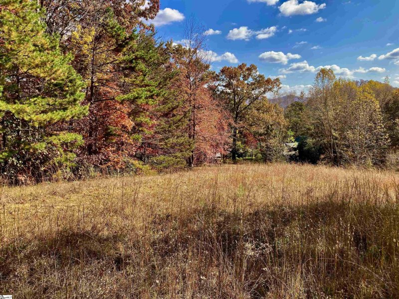 Property image 3 at 6 Sedgewick Road, Travelers Rest, SC 29690
