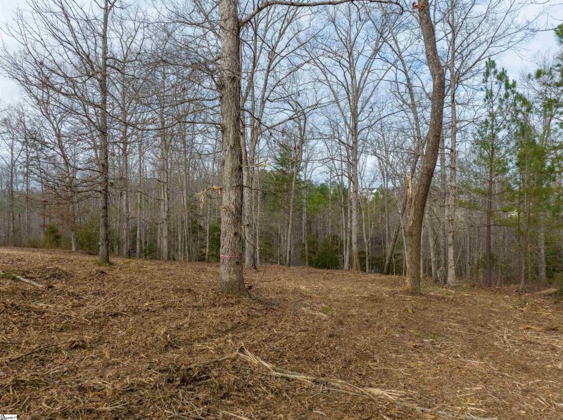 Property image 2 at 20 Bayboro Way, Simpsonville, SC 29680