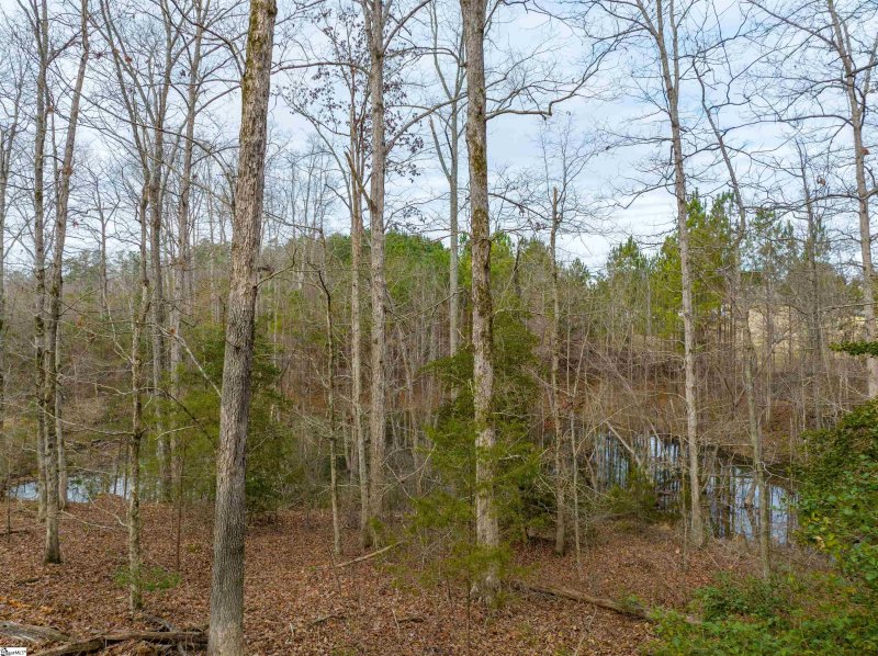 Property image 5 at 20 Bayboro Way, Simpsonville, SC 29680