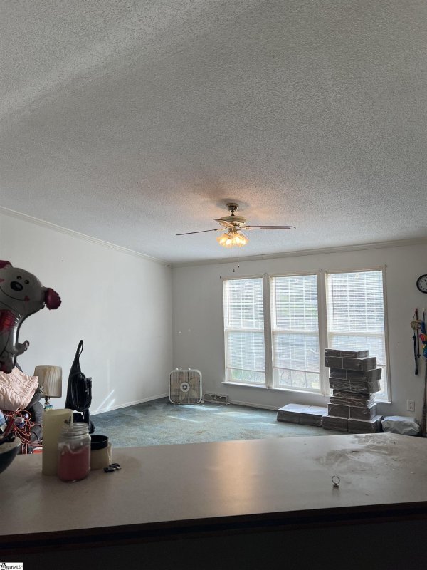 Property image 3 at 105 Robie Ann Court, Pelzer, SC 29669