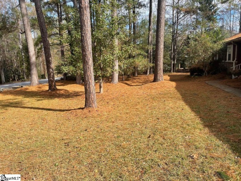 Property image 3 at 134 Carolina Way, Fountain Inn, SC 29644-8309