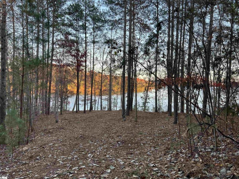 Property image 5 at JC32 Jasmine Point, Salem, SC 29676