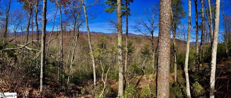 Property image 2 of 1 Sweet Fern Way in The Cliffs at Mountain Park, Marietta, SC 29661