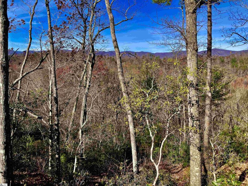 Property image 3 of 1 Sweet Fern Way in The Cliffs at Mountain Park, Marietta, SC 29661