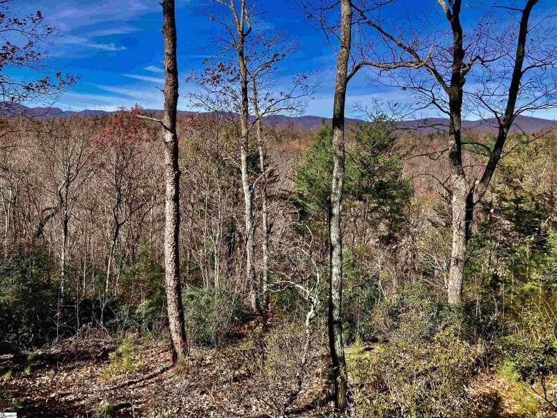 Property image 4 of 1 Sweet Fern Way in The Cliffs at Mountain Park, Marietta, SC 29661