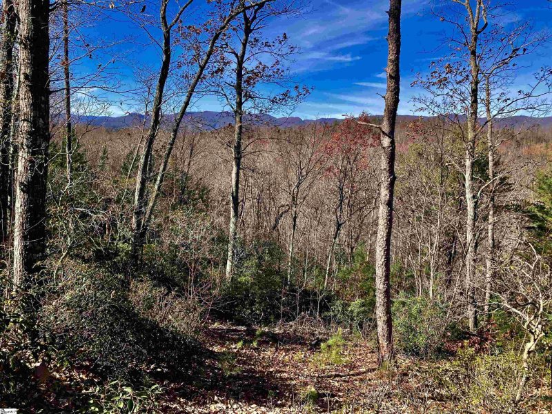 Property image 5 of 1 Sweet Fern Way in The Cliffs at Mountain Park, Marietta, SC 29661