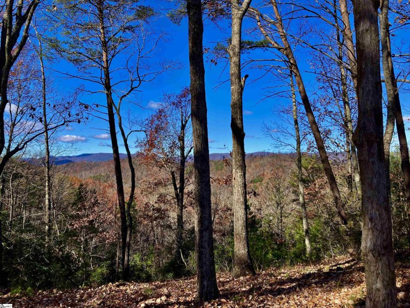 Property image 2 at 29 Speckled Grouse Way, Marietta, SC 29661