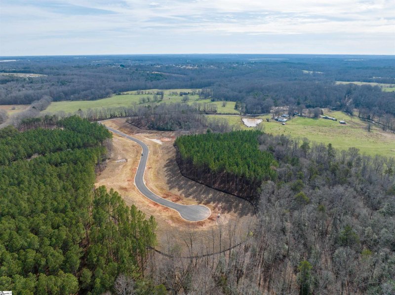 Property image 3 at 0 Danielsen Way, Greer, SC 29651