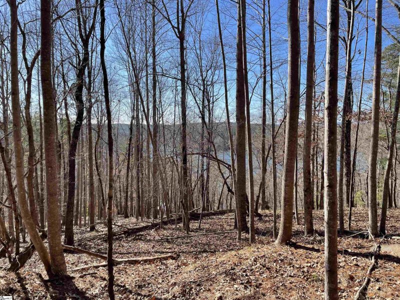 Property image 2 at 711 Top Ridge Drive, Sunset, SC 29685