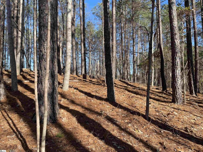 Property image 3 at 711 Top Ridge Drive, Sunset, SC 29685