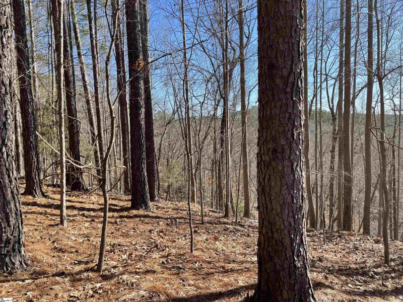 Property image 4 at 711 Top Ridge Drive, Sunset, SC 29685