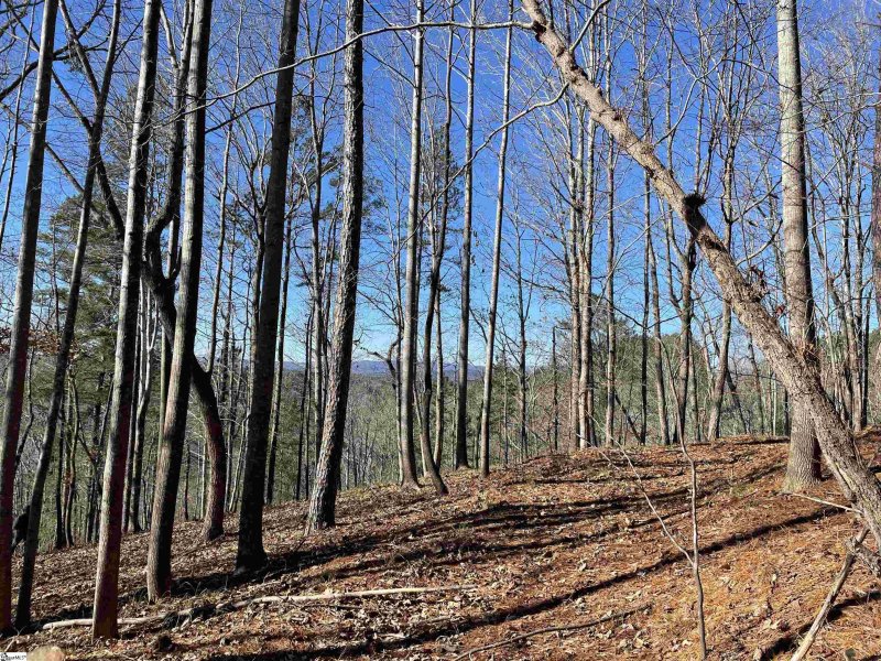 Property image 5 at 711 Top Ridge Drive, Sunset, SC 29685