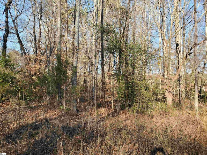 Property image 3 at Marlena Avenue, Piedmont, SC 29673