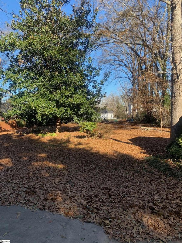 Property image 3 at 306 W Walnut Street, Clinton, SC 29325