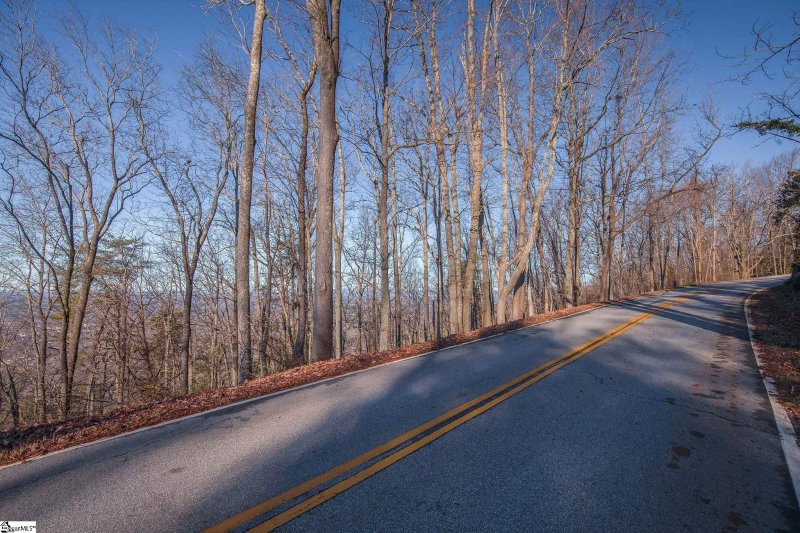 Property image 3 at 851 Altamont Road, Greenville, SC 29609