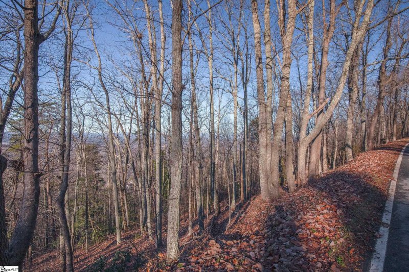 Property image 4 at 851 Altamont Road, Greenville, SC 29609